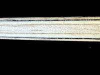 ERGOFIT TORQUE - Detail