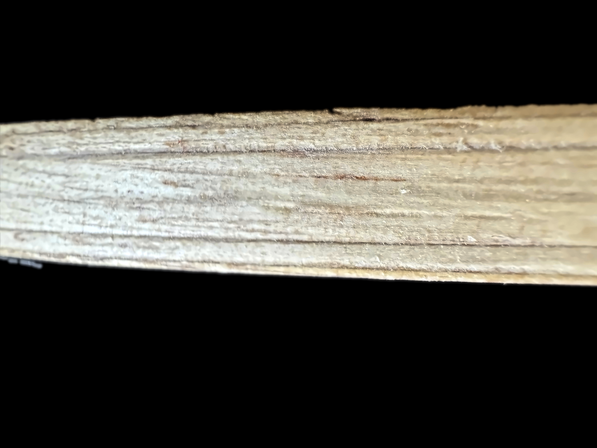 ERGOCLASSIC CALIPER Detail